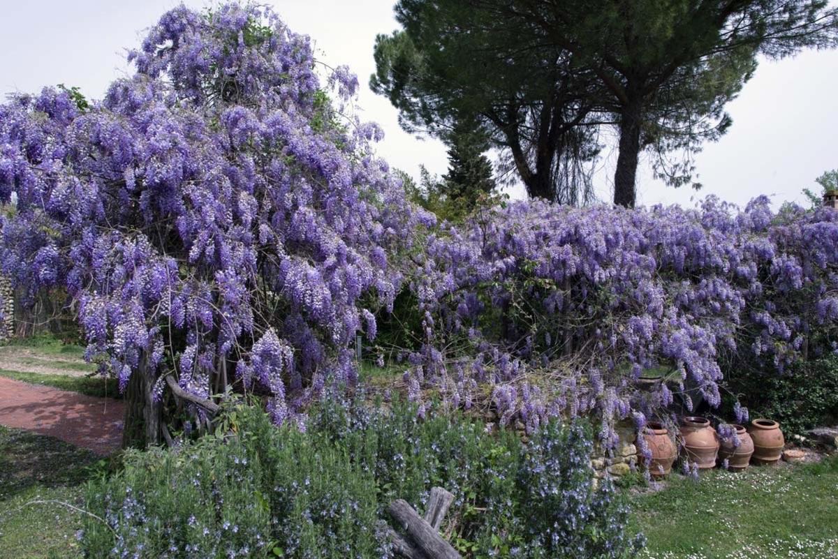 Molino In Chianti Villa Mercatale Val Di Pesa Buitenkant foto