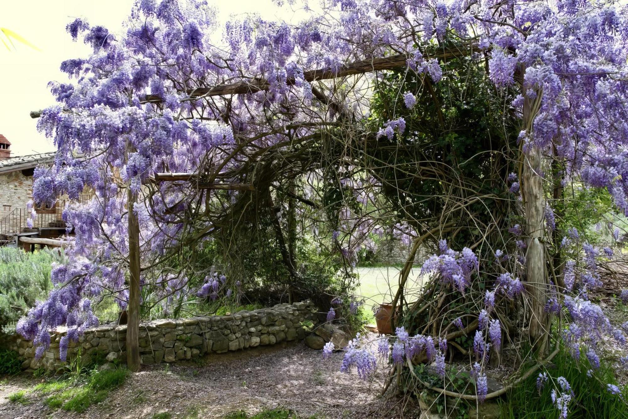 Molino In Chianti Villa Mercatale Val Di Pesa Buitenkant foto